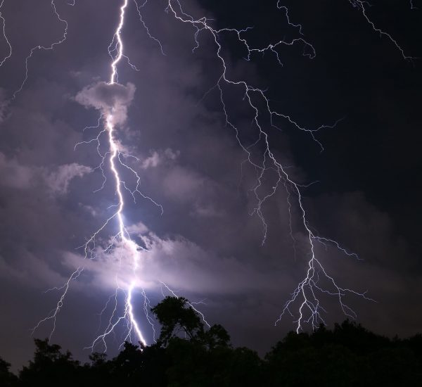 Vertical Image of Scary Real Lightning Striking over the Forest at Night